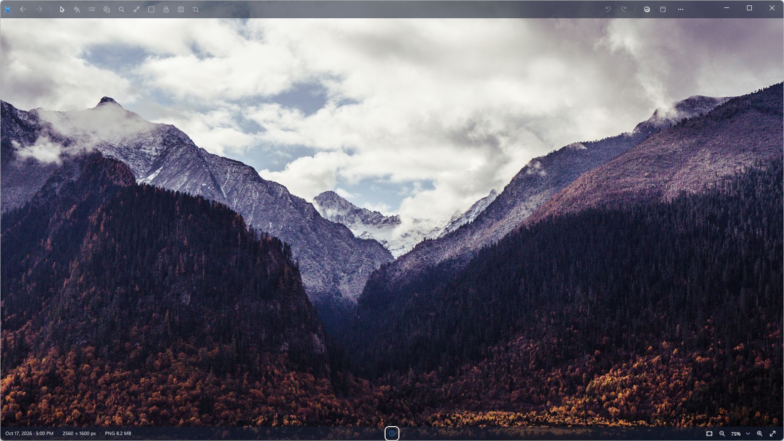 The same scenic photo filling the Shnapp editor with its options panel closed